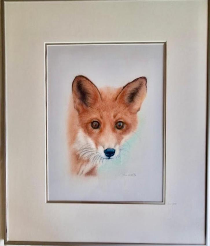 Pasteltekening vosje, Antiek en Kunst, Kunst | Tekeningen en Foto's, Ophalen of Verzenden