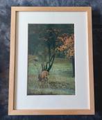 Ree / Hert (foto) ... in Barth wissellijst 30x40 ...., Antiek en Kunst, Ophalen of Verzenden