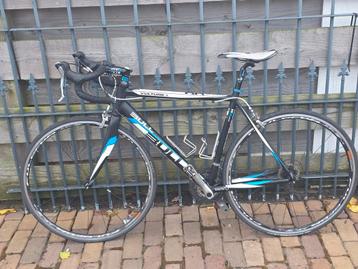 Goeie bulls vulture 3  beschikbaar voor biedingen