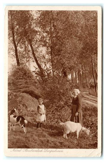 Noord - Brabantsch Dorpsleven. Lees beschrijving beschikbaar voor biedingen