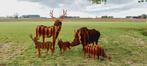 cortenstaal dieren, Tuin en Terras, Tuinbeelden, Ophalen of Verzenden, Nieuw, Metaal, Dierenbeeld