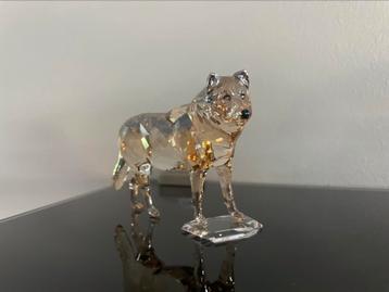 Swarovski wolf nieuw compleet met doos en omdoos beschikbaar voor biedingen