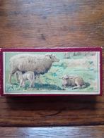 OUD ANTIEK DOOSJE MET SCHAAPJES IN WEIDE LEUK VOOR PASEN, Ophalen of Verzenden