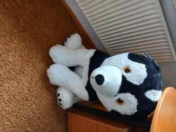  Grote Knuffel hond/huski beschikbaar voor biedingen