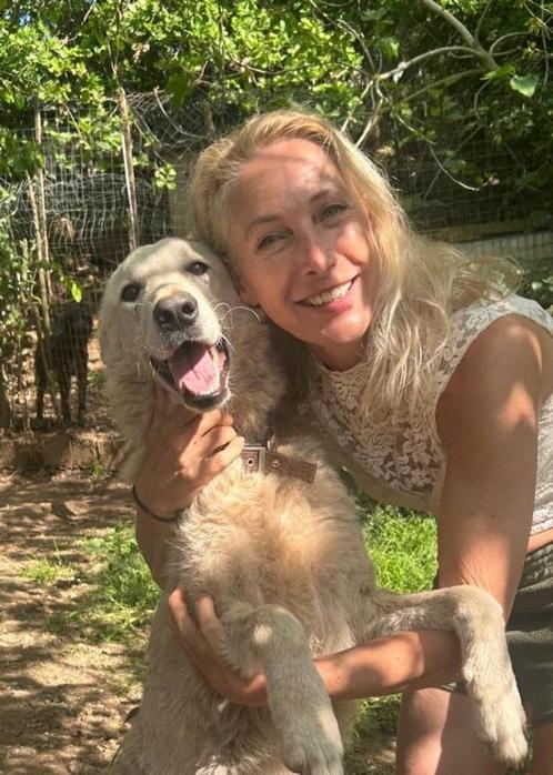 Fantastische jonge hond!, Dieren en Toebehoren, Honden-accessoires, Zo goed als nieuw, Ophalen