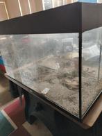 Aquarium 80cm, Ophalen