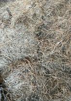 Gratis hooi, Ophalen of Verzenden, Vee