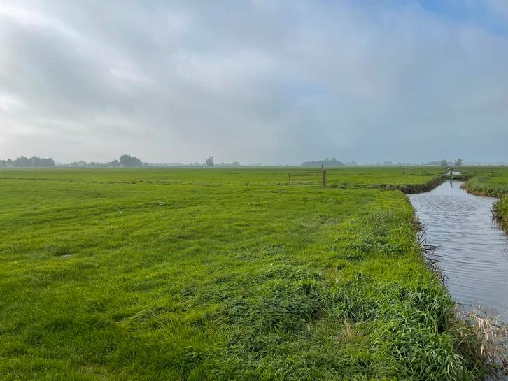 Circa 21,31 hectare aaneengesloten percelen grasland te koop, Dieren en Toebehoren, Stalling en Weidegang, Weidegang, 4 paarden of pony's of meer