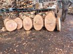 Boomstamschijven (vooral Eik en Acacia) tot ruim ø 120cm, Overige typen, Nieuw, Ophalen of Verzenden, 50 mm of meer