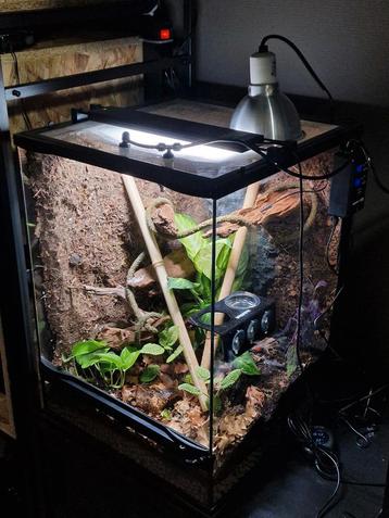 ZooMed 45x45x60cm Terrarium incl. Custom Achterwand beschikbaar voor biedingen