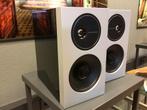Definitive Technologies D11, Overige merken, Ophalen of Verzenden, Zo goed als nieuw, 120 watt of meer