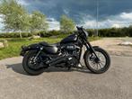 Harley Davidson Sportster 883 2009 Mat zwart, Motoren, Particulier, 2 cilinders, 883 cc, Chopper