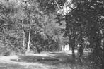 978853 Rijwielpad Hollandsche Rading n d Vuursche Utr 1954, Verzamelen, Ansichtkaarten | Nederland, Ophalen of Verzenden, Gelopen
