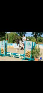 Zadelmak maken/ doorrijden, Gedragstraining