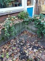 Beton bakken  GRATIS GRATIS, Ophalen, Overige materialen, Minder dan 3 meter