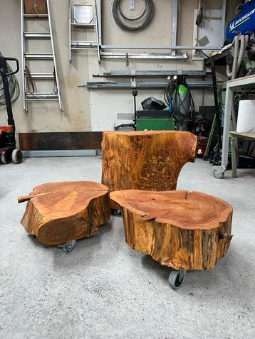 Boomstam Salontafel Set - Uniek & Industrieel beschikbaar voor biedingen