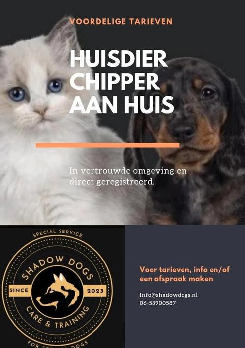 Geregistreerd Chipper aan huis! Voor uw huisdier, Dieren en Toebehoren, Vermiste en Gevonden Dieren