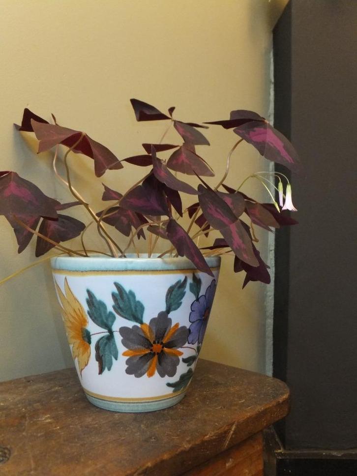 supermooie vintage bloempot, oud antiek, plateel gouda Ø15,5, Antiek en Kunst, Curiosa en Brocante, Ophalen