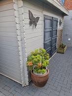 Tuinhuis, Tuin en Terras, Tuinhuizen, 200 tot 400 cm, Ophalen of Verzenden, Zo goed als nieuw, Zonder ramen