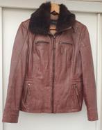 DonnaD leren jack bruin M/L afknoopbare bontkraag nieuwstaat, Kleding | Dames, Jassen | Winter, Maat 38/40 (M), Donna D, Bruin