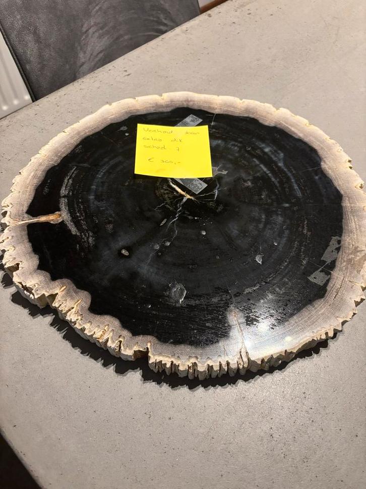 Versteende Houten Schaal, Verzamelen, Mineralen en Fossielen, Fossiel, Ophalen of Verzenden