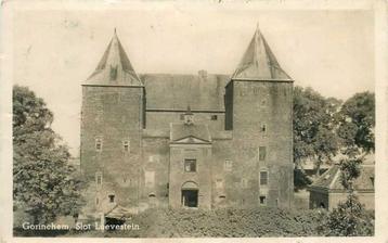 (300-114-001) Gorinchem Slot Loevestein beschikbaar voor biedingen