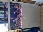 Compleet zeeaquarium incl nieuwe scimmer en high-end lamp!, Ophalen, Gebruikt, Gevuld zeewateraquarium