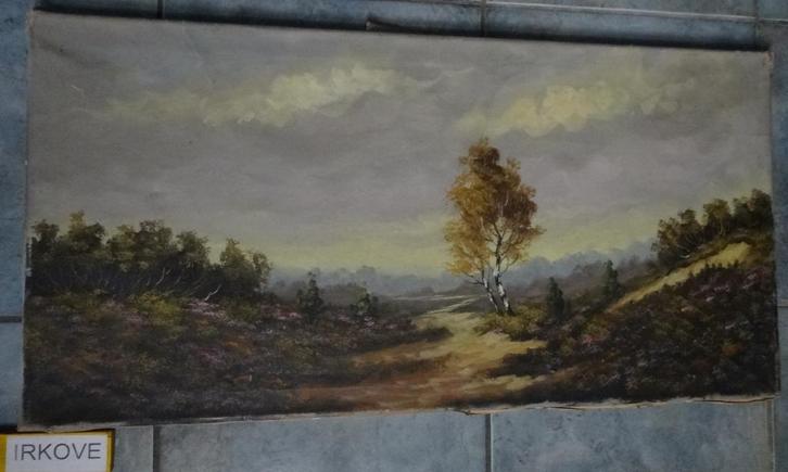 HEIDE MET BERKEN * OLIEVERF * Geen Lijst *, Antiek en Kunst, Kunst | Schilderijen | Klassiek, Ophalen of Verzenden