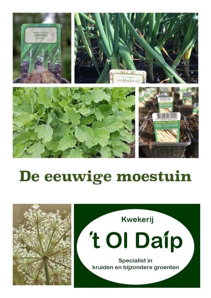 De eeuwige moestuin Vaste moestuin planten, Tuin en Terras, Planten | Tuinplanten, Eenjarig, Groenteplanten, Volle zon, Ophalen of Verzenden