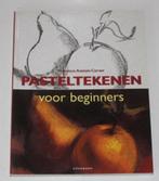 Pasteltekenen Voor Beginners - Francisco Asensio Cerver, Ophalen of Verzenden, Zo goed als nieuw, Tekenen en Schilderen
