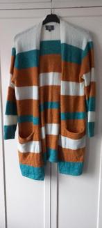 Human Nature vest maat XL(42-44) zgan, Kleding | Dames, Truien en Vesten, Overige kleuren, Maat 42/44 (L), Ophalen of Verzenden