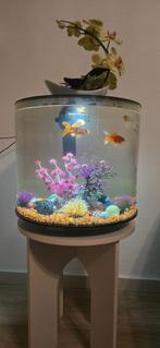 aquarium, Dieren en Toebehoren, Vissen | Aquaria en Toebehoren, Ophalen of Verzenden, Zo goed als nieuw, Leeg aquarium
