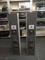 Pied Piper custom luidsprekers, Audio, Tv en Foto, Ophalen of Verzenden, Gebruikt, Front, Rear of Stereo speakers, Overige merken