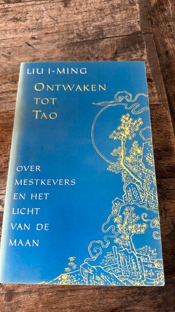 Liu I-Ming - Ontwaken tot tao beschikbaar voor biedingen