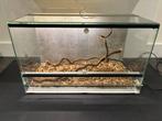Terrarium 50-25-30, Dieren en Toebehoren, Reptielen en Amfibieën | Toebehoren, Ophalen, Zo goed als nieuw, Terrarium of Paludarium