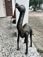 Mooie kameel, Antiek en Kunst, Ophalen