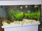 Te koop juwel 125 aquarium compleet met vissen, Dieren en Toebehoren, Vissen | Aquaria en Toebehoren, Ophalen, Zo goed als nieuw