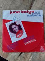 June lodge, Ophalen of Verzenden, Zo goed als nieuw