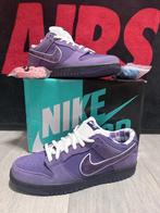 Nike SB Dunk Low Pro OG QS Concepts Purple Lobster Mt 47.5, Kleding | Heren, Schoenen, Ophalen, Overige kleuren, Nike, Nieuw