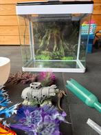 Aquarium panorama 50 liter, Dieren en Toebehoren, Ophalen, Gebruikt, Leeg aquarium
