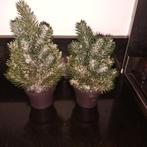 2 kleine kunstkerstboompjes voor bv kerstdorp, Ophalen of Verzenden