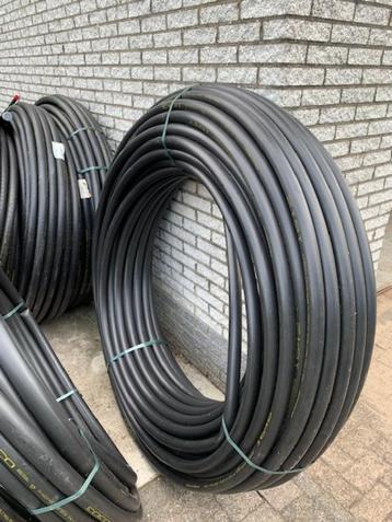 tyleenslang beschikbaar voor biedingen