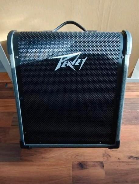 Peavey MAX 100 basversterker, Muziek en Instrumenten, Versterkers | Bas en Gitaar, Gebruikt, Basgitaar, 100 watt of meer, Ophalen
