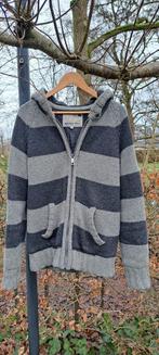 America today wollen vest met windstop large, Ophalen of Verzenden, Zo goed als nieuw, Maat 52/54 (L), Grijs