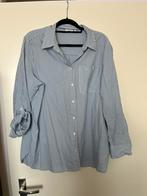 Nieuwe blouse Cecil maat xl, Blauw, Maat 46/48 (XL) of groter, Ophalen of Verzenden, Zo goed als nieuw