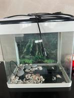 Aquarium, Dieren en Toebehoren, Vissen | Aquaria en Toebehoren, Ophalen, Gebruikt, Verlichting of Verwarming