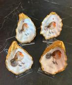 Roodborst in een oester schelp met je eigen tekst, Dieren en Toebehoren, Vogels | Overige Vogels, Meerdere dieren, Tropenvogel