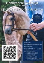 hobbyhorse wedstrijd, Hobby en Vrije tijd, Overige Hobby en Vrije tijd, Ophalen, Nieuw