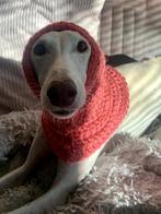 Gehaakte snood-halswarmer-colsjaal-hondenhalsband donkerroze, Dieren en Toebehoren, Ophalen of Verzenden, Nieuw, Hondensjaal