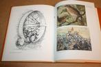 Brood op de leesplank - 6 illustratoren - Jetses, Isings...., Ophalen of Verzenden, Gelezen